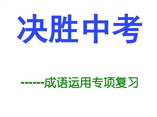 中考语文《成语运用》(共19张PPT)(优秀课件)