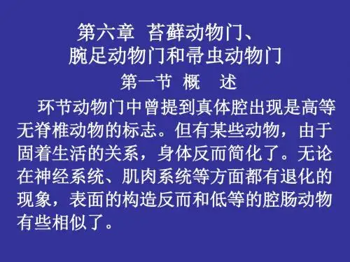 第六章苔藓动物门
