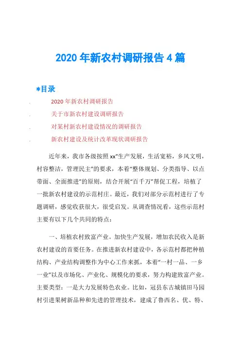 2020年新农村调研报告4篇