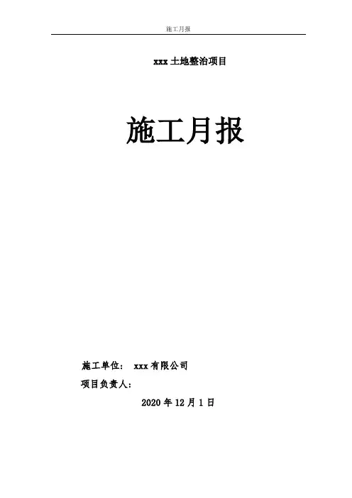 土地整治项目施工月报1