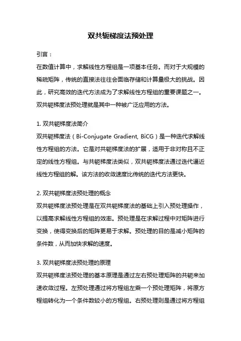 双共轭梯度法预处理