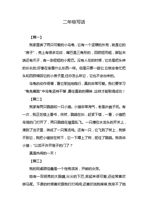 二年级写话