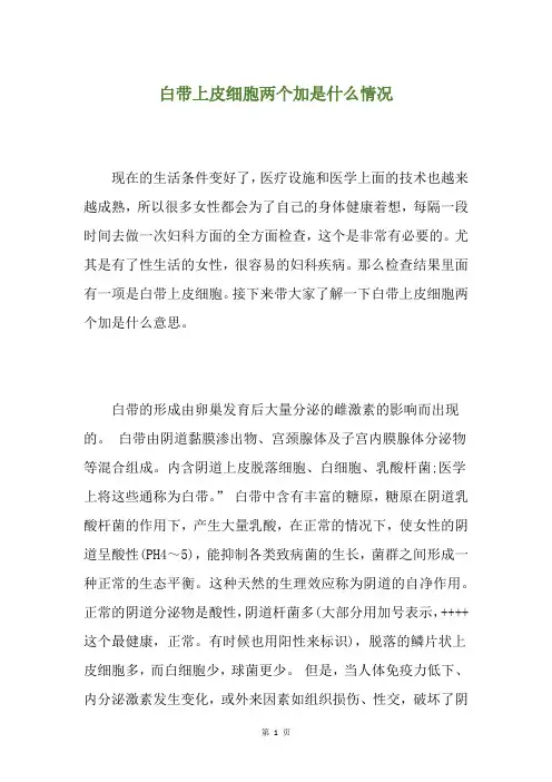 白带上皮细胞两个加是什么情况
