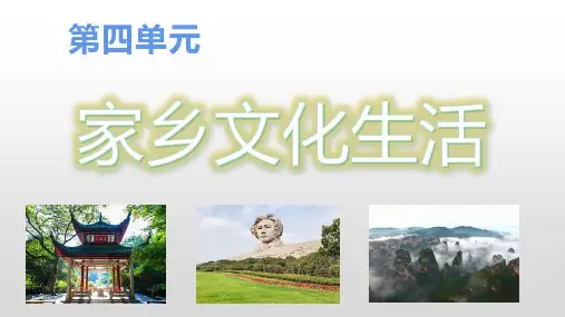 《家乡文化生活》ppt课件
