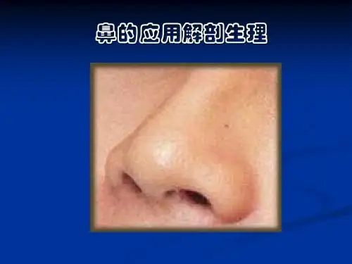 鼻应用解剖与生理课件