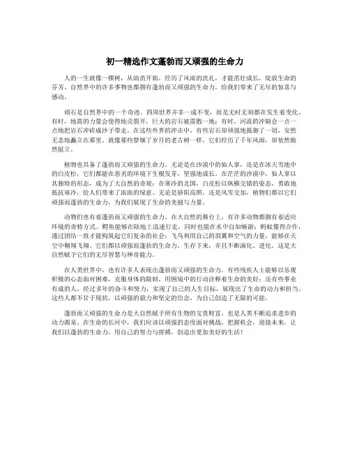 初一精选作文蓬勃而又顽强的生命力