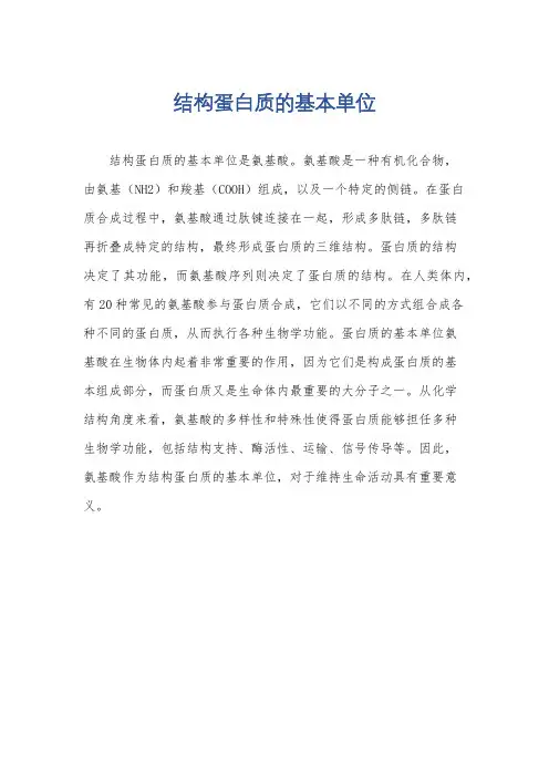 结构蛋白质的基本单位