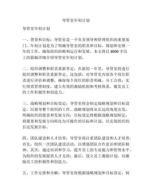 导管室年初计划