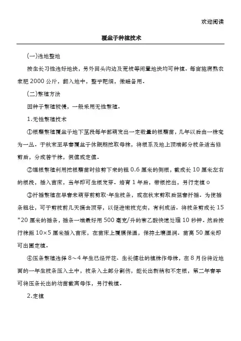 覆盆子种植技术