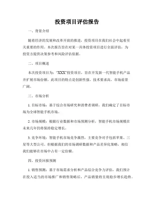 投资项目评估报告