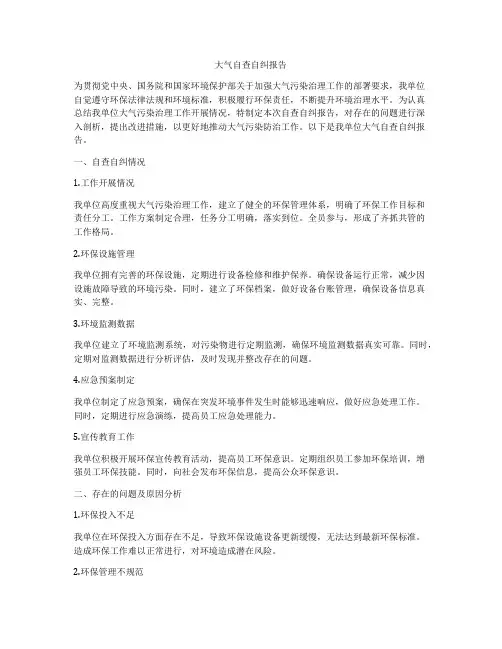 大气自查自纠报告
