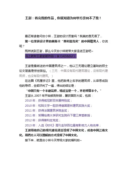 王澍：看完我的作品，你就知道为何甲方奈何不了我！