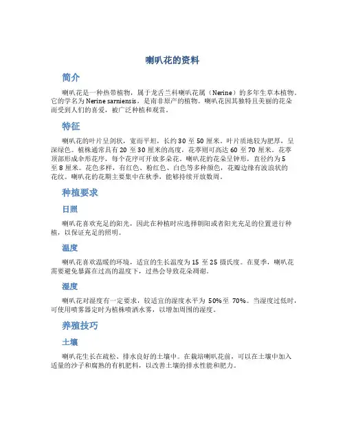 喇叭花的资料