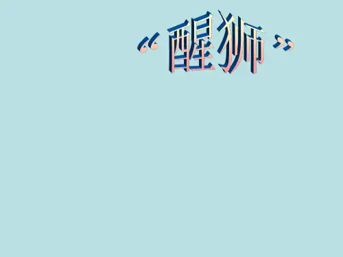 醒狮介绍