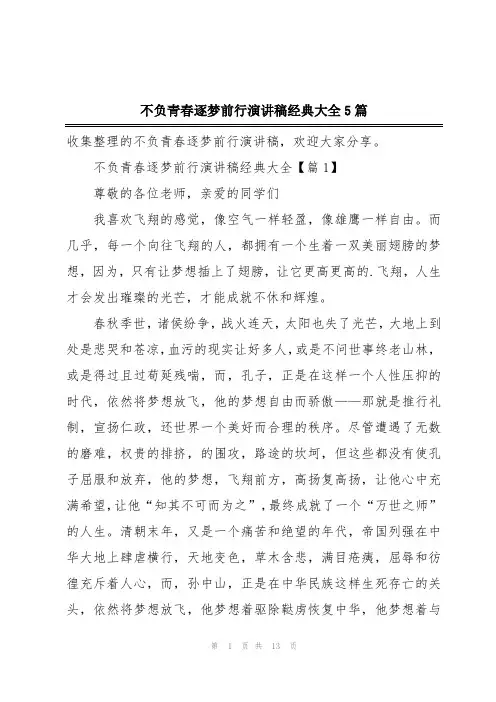 不负青春逐梦前行演讲稿经典大全5篇