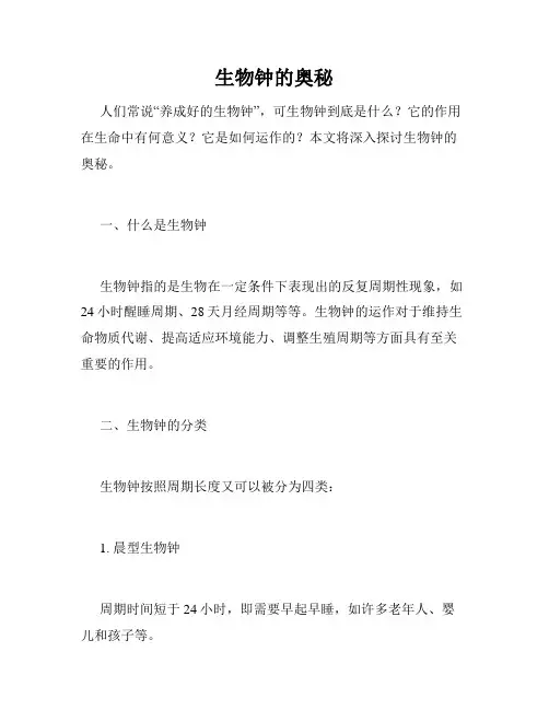 生物钟的奥秘