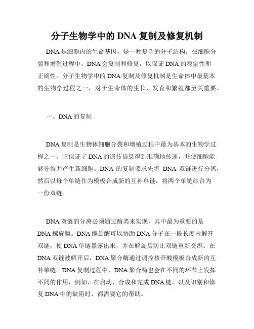 分子生物学中的DNA复制及修复机制