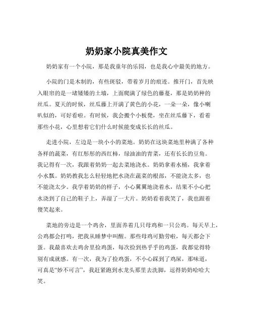 奶奶家小院真美作文