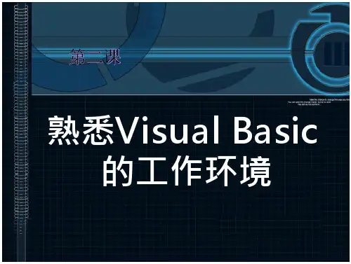 修改窗体的标题(caption属性)