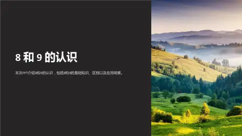 8和9的认识-课件