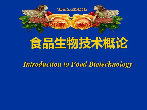 生物科技-食品生物技术概论 精品