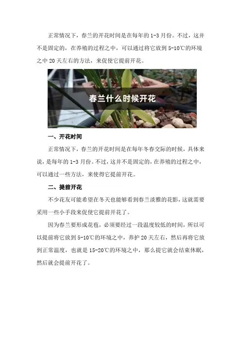 春兰什么时候开花