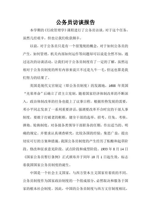 公务员访谈报告