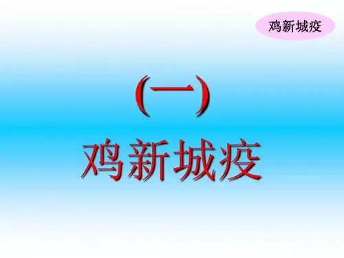 01鸡新城疫