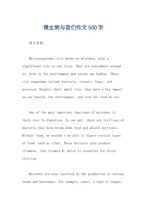 微生物与我们作文500字