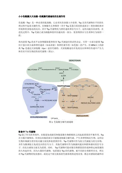 小小色氨酸大大功能--色氨酸代谢途径的生理作用