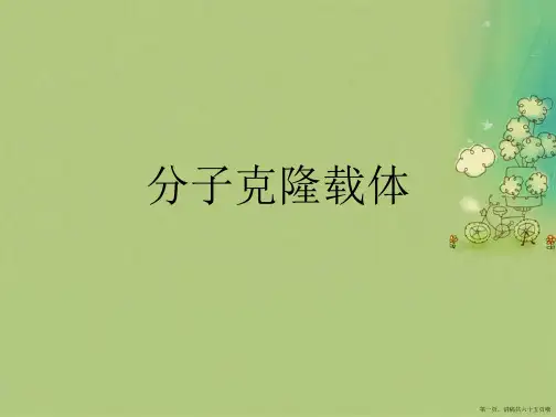 分子克隆载体