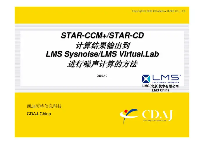 starccm输出CGNS