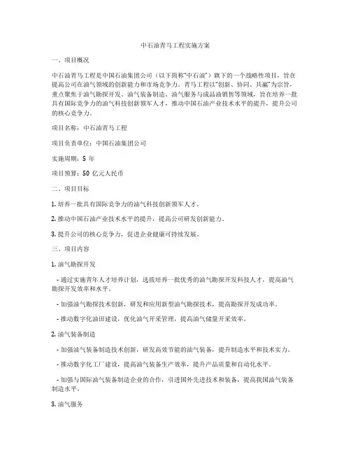 中石油青马工程实施方案