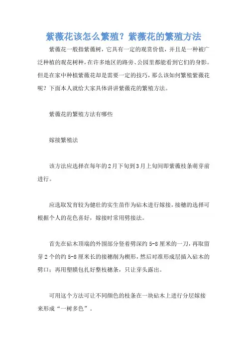 紫薇花该怎么繁殖？紫薇花的繁殖方法