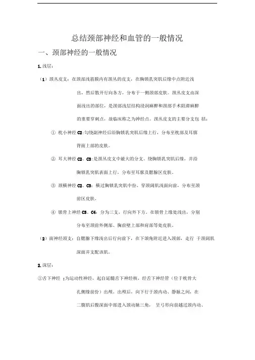 颈部血管神经的一般概况