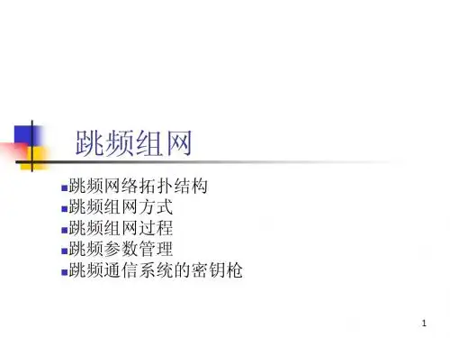 跳频组网及自适应跳频