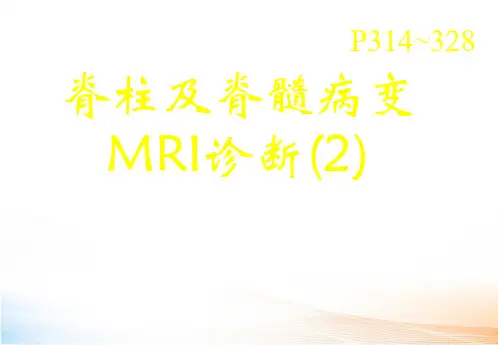 MR脊髓(107页)教学课件