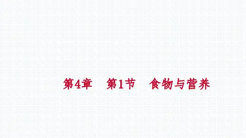 秋浙教版九年级科学上册同步练习课件：第4章 第1节 食物与营养(共28张PPT)