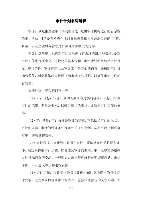 审计计划名词解释