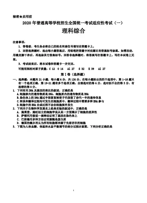 2020年普通高等学校招生全国统一考试适应性考试(一)理科综合试题-含答案
