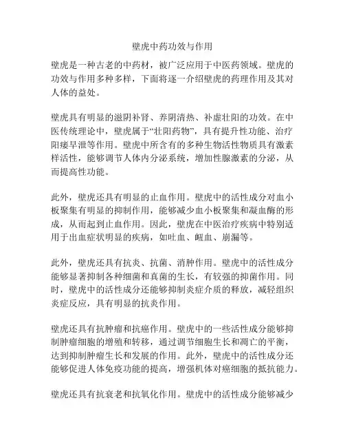 壁虎中药功效与作用