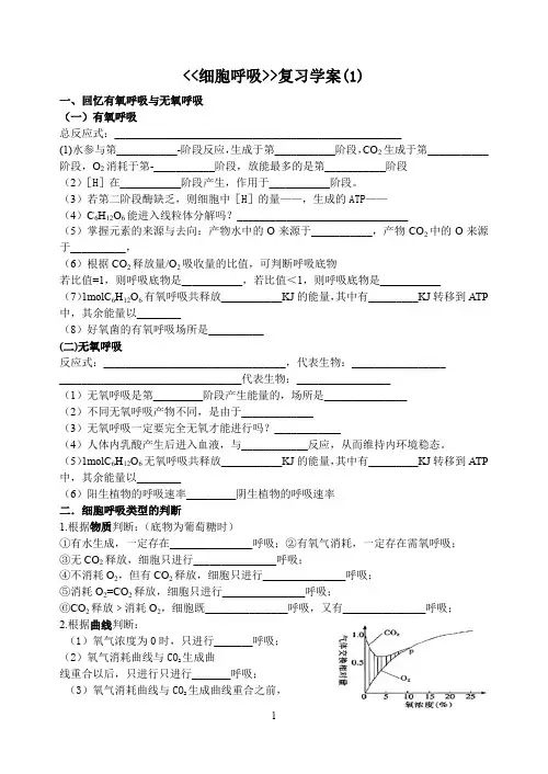 细胞呼吸学案