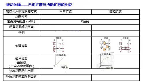 4.2主动运输与胞吞胞吐课件-高一上学期生物人教版(2019)必修1