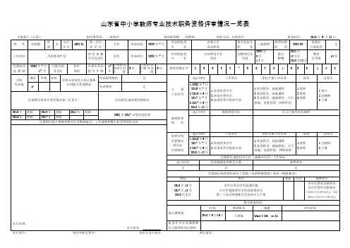 山东省中小学教师专业技术职务资格评审情况一览表(A3)