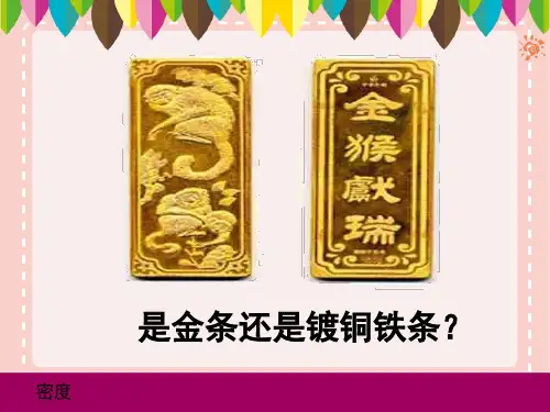 密度PPT课件(人教版)45张