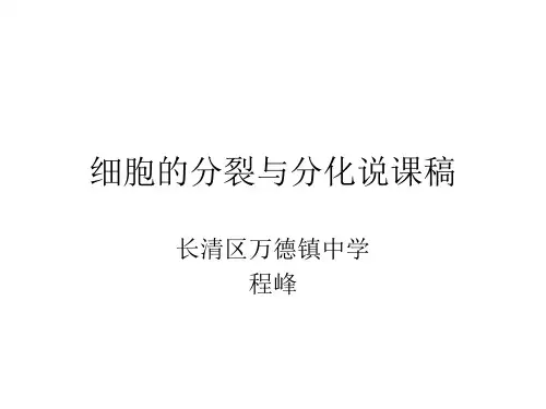 细胞的分裂与分化说课稿
