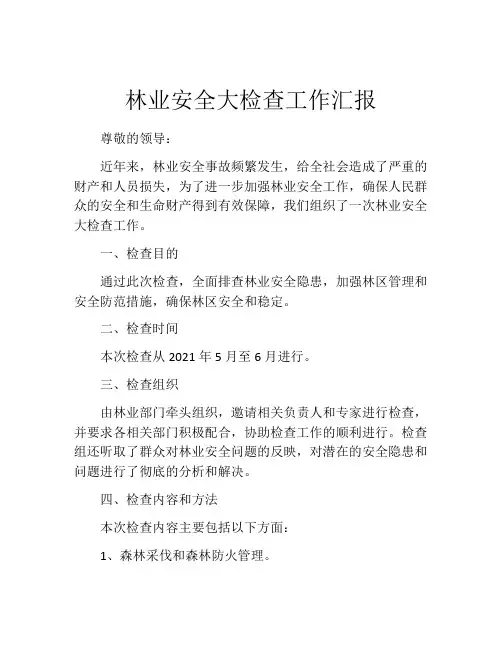林业安全大检查工作汇报