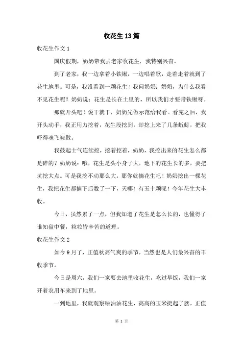 收花生13篇