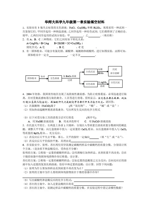 华师大科学九年级第一章实验填空材料