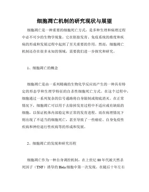细胞凋亡机制的研究现状与展望